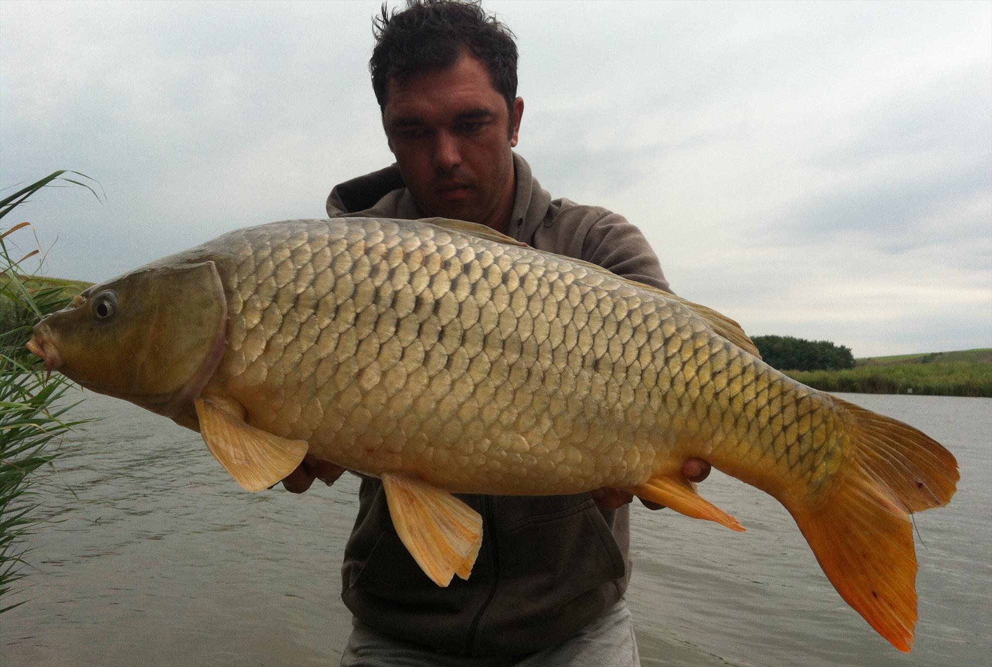 Magura 9 16 - 17 aug. - 11-2.JPG